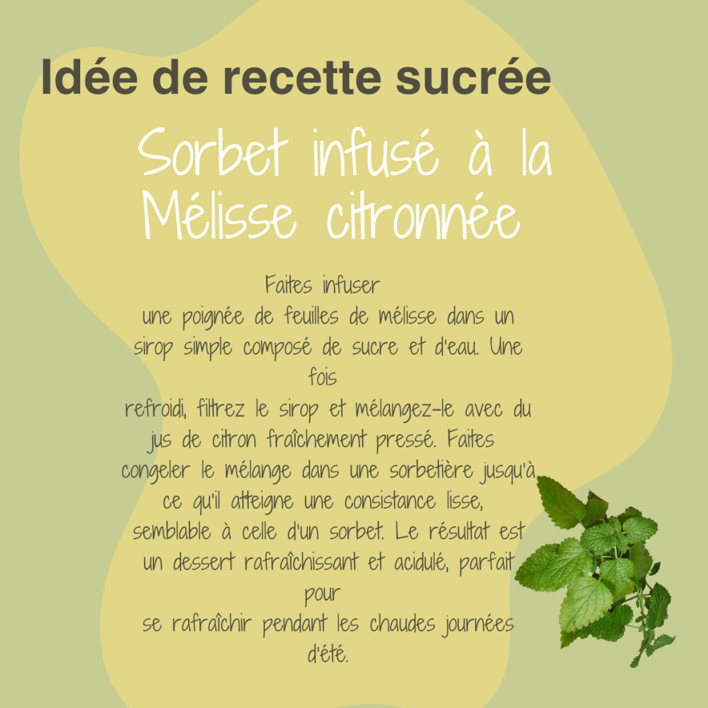 recette sucrée à la mélisse